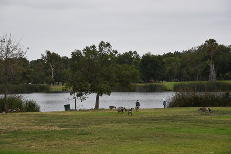 Enlarge photo 51