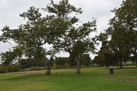 Enlarge photo 52