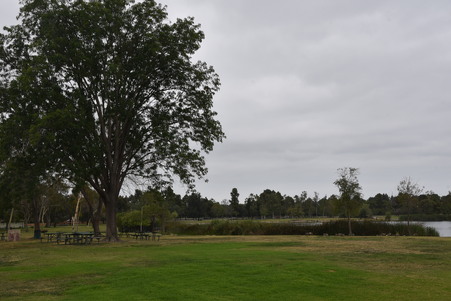 Enlarge photo 53