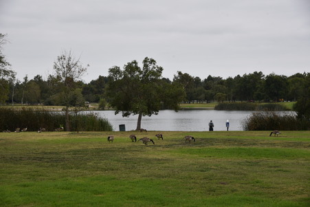 Enlarge photo 54