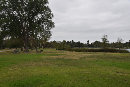 Enlarge photo 57