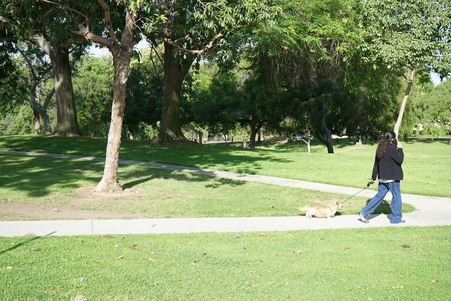Los Cerritos park