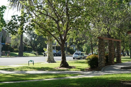 Enlarge photo 10