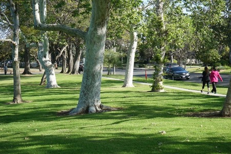 Enlarge photo 12