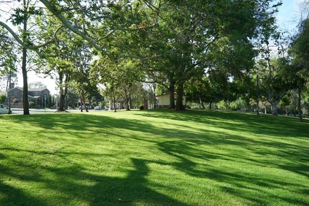 Enlarge photo 14