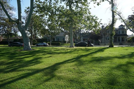 Enlarge photo 16