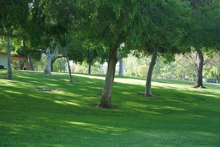 Enlarge photo 17