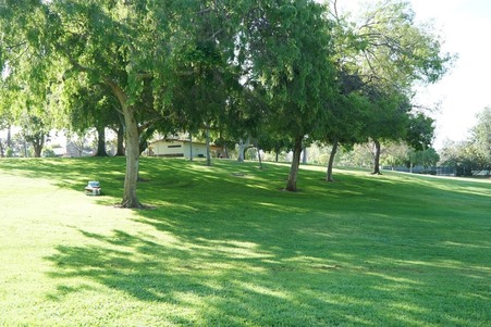 Enlarge photo 18
