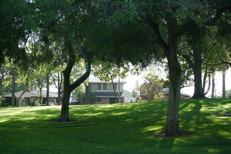 Enlarge photo 24