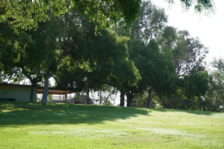 Enlarge photo 25