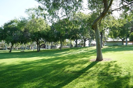 Enlarge photo 26