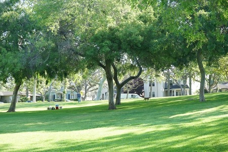 Enlarge photo 28