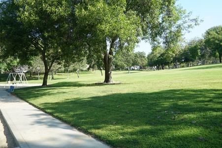 Enlarge photo 33