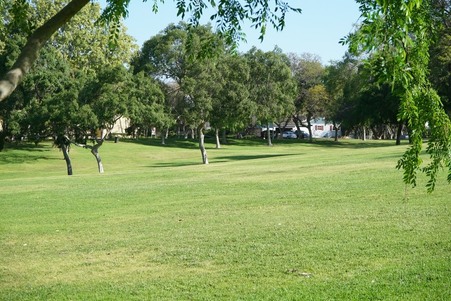 Enlarge photo 35
