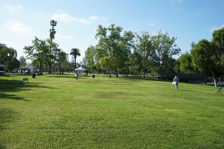 Enlarge photo 38