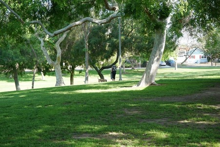 Enlarge photo 41