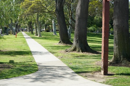 Enlarge photo 45