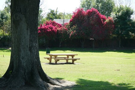 Enlarge photo 13