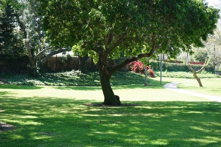 Enlarge photo 11