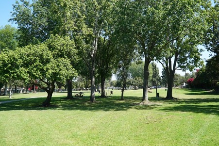 Enlarge photo 12