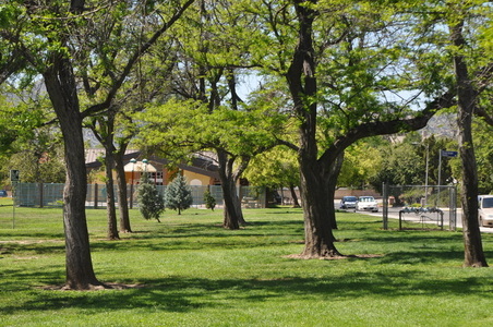 Enlarge photo 11