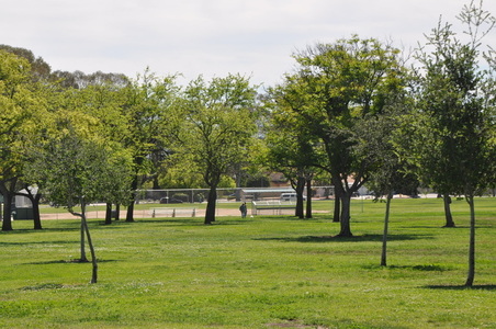 Enlarge photo 12
