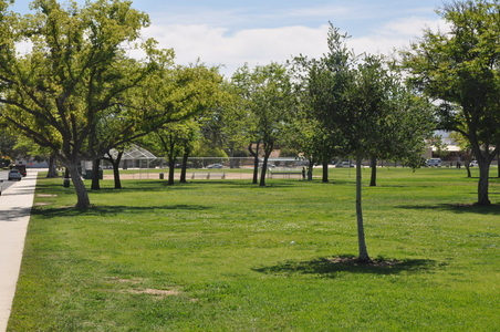 Enlarge photo 16