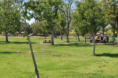 Enlarge photo 18