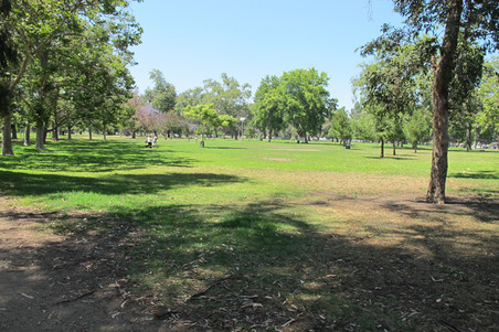 Enlarge photo 20
