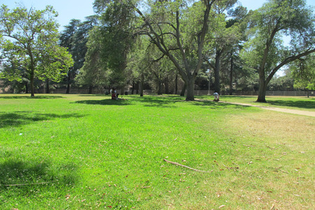Enlarge photo 29