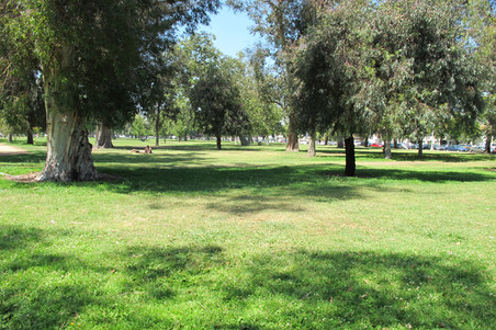 Enlarge photo 30