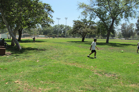 Enlarge photo 33