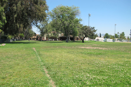 Enlarge photo 34