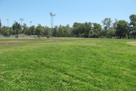 Enlarge photo 35