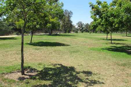 Enlarge photo 21