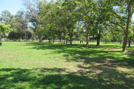 Enlarge photo 23