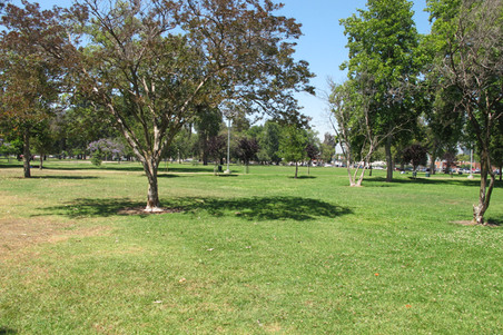 Enlarge photo 24