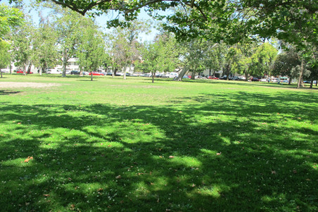 Enlarge photo 26