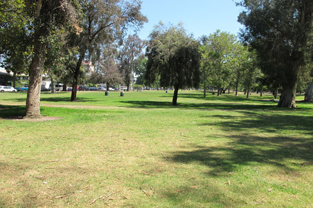 Enlarge photo 27