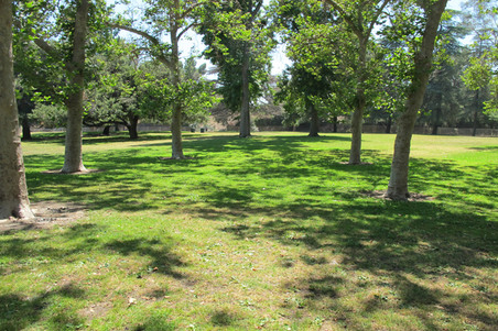 Enlarge photo 42
