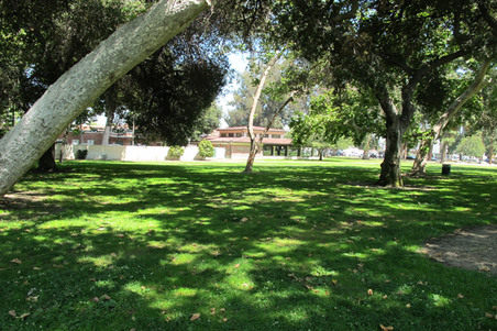 Enlarge photo 41