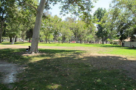 Enlarge photo 44