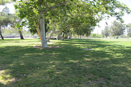 Enlarge photo 45