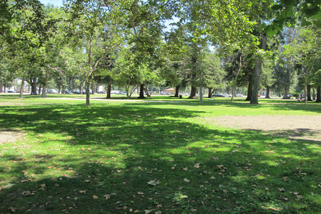 Enlarge photo 46