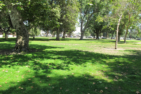 Enlarge photo 47