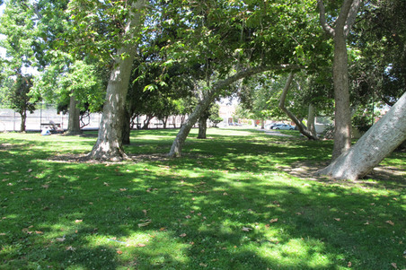 Enlarge photo 48