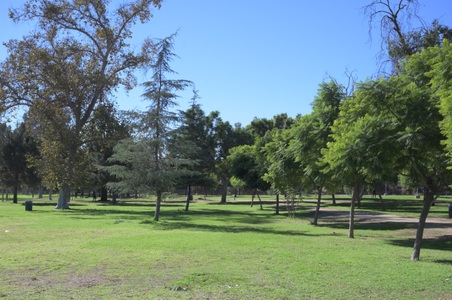 Enlarge photo 11