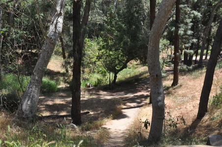 Ferndell hiking trails 