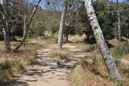 Enlarge photo 3