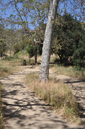 Enlarge photo 6
